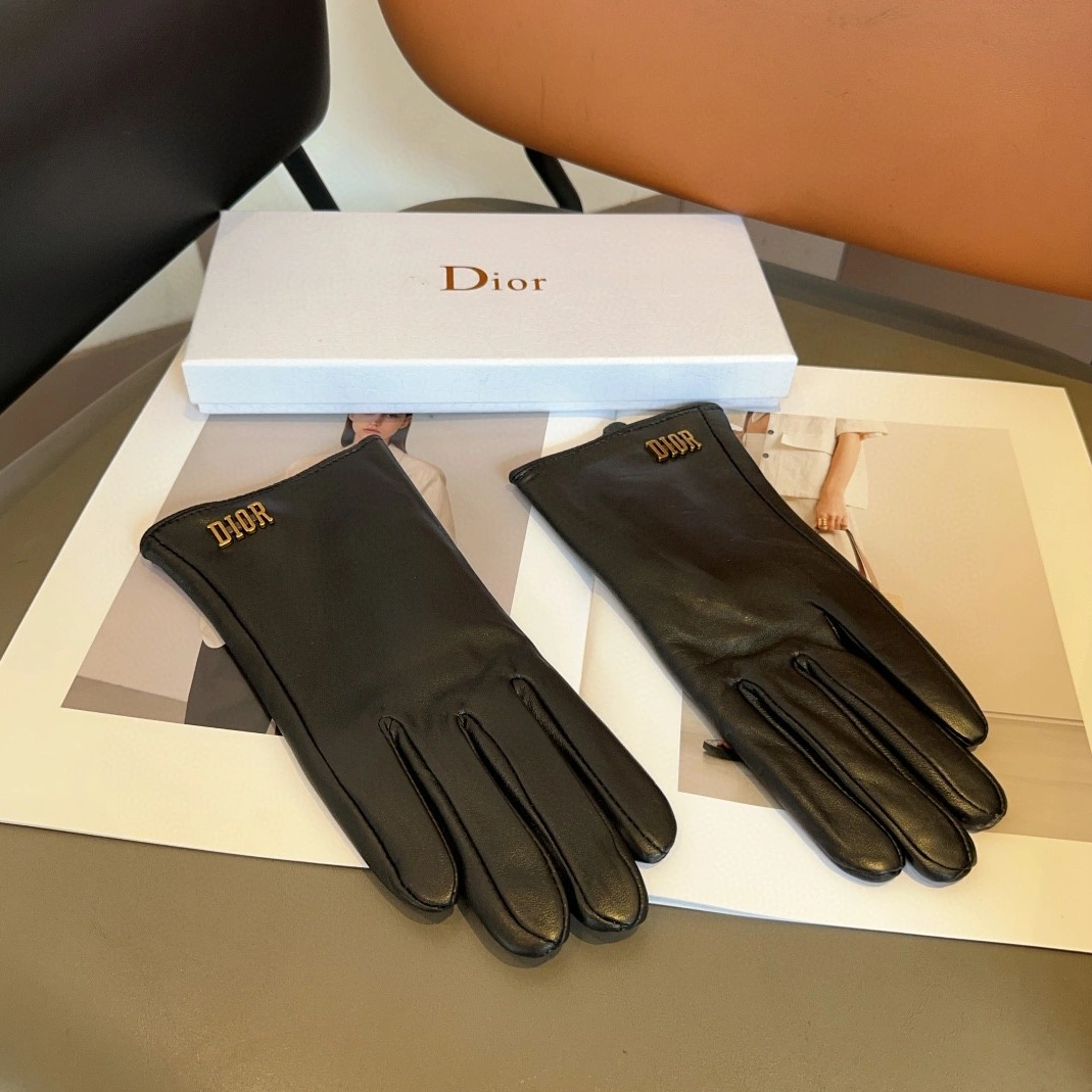 AllSeason 2999 Christian Dior Gloves