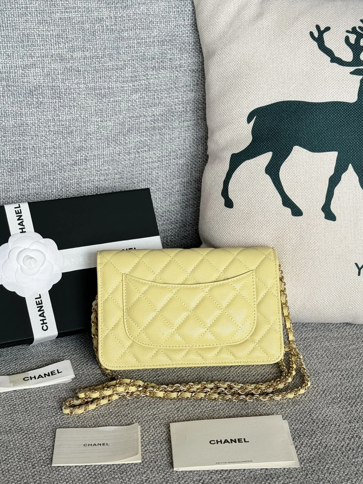 Chanel AAA Quality Messenger Bags In Gold For Women Breathable 9797