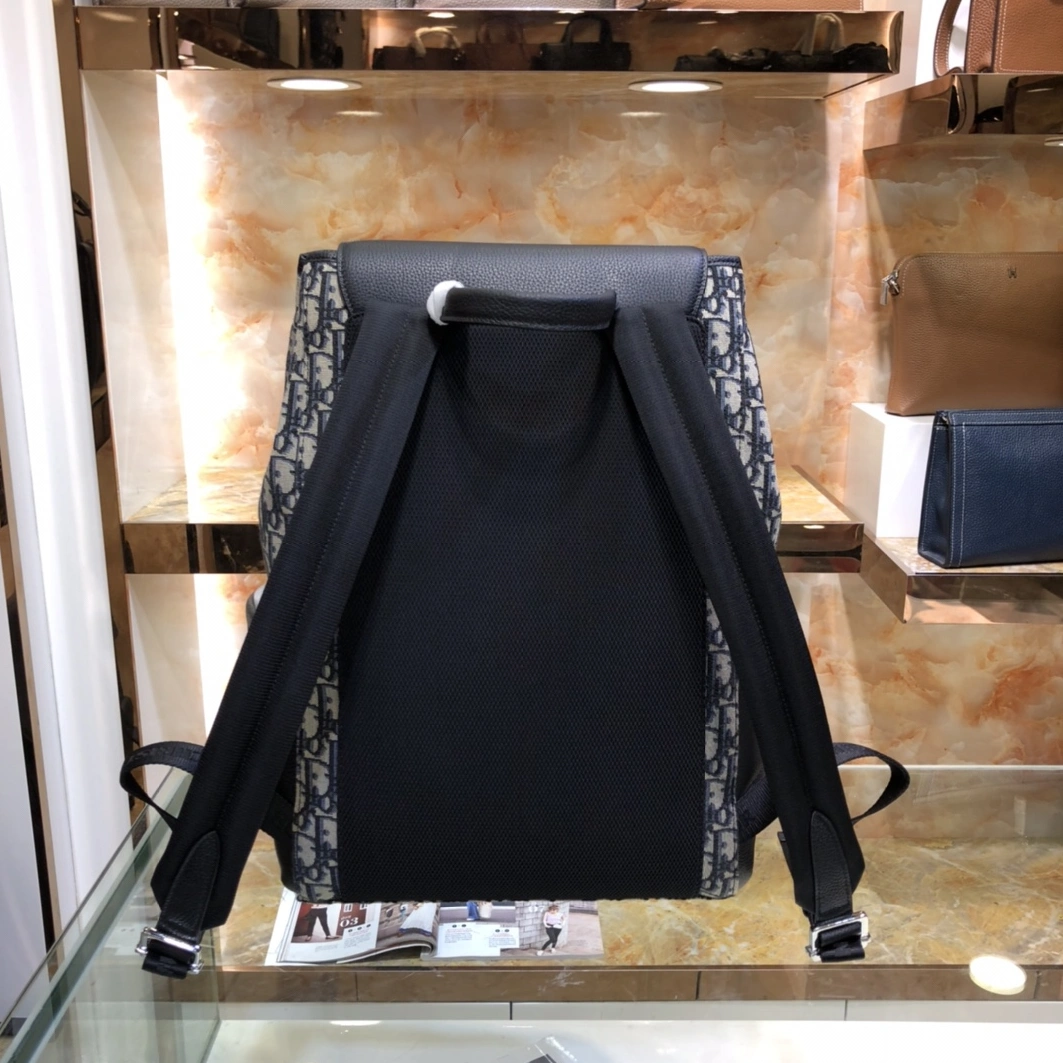 Christian Dior AAA Man Backpacks EasyMatch 9291