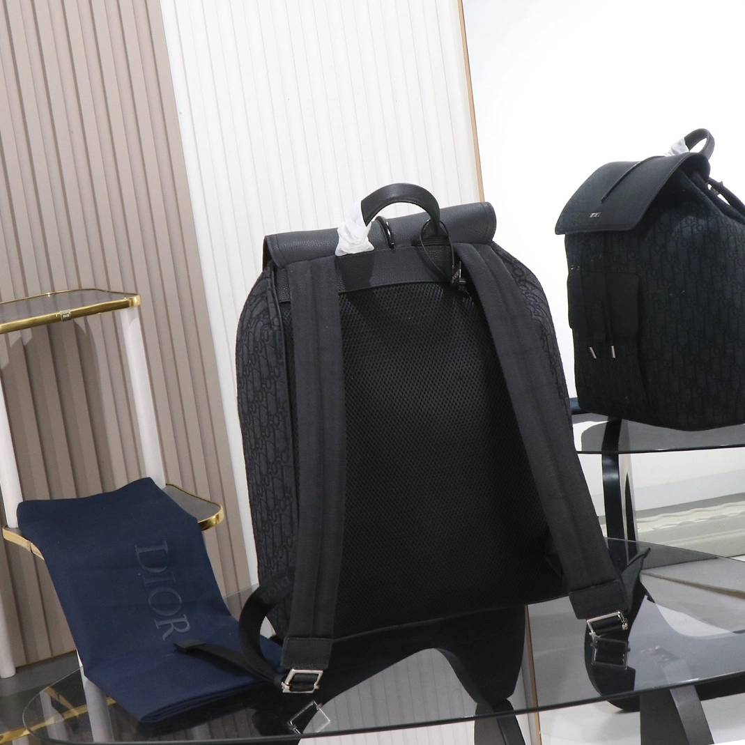 Christian Dior AAA Man Backpacks StreetReady 8260