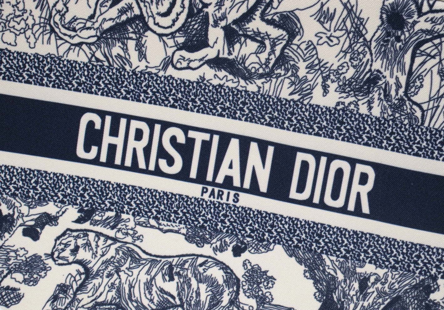 Christian Dior AAA Quality Tote-Handbags For Women Lightweight 4081