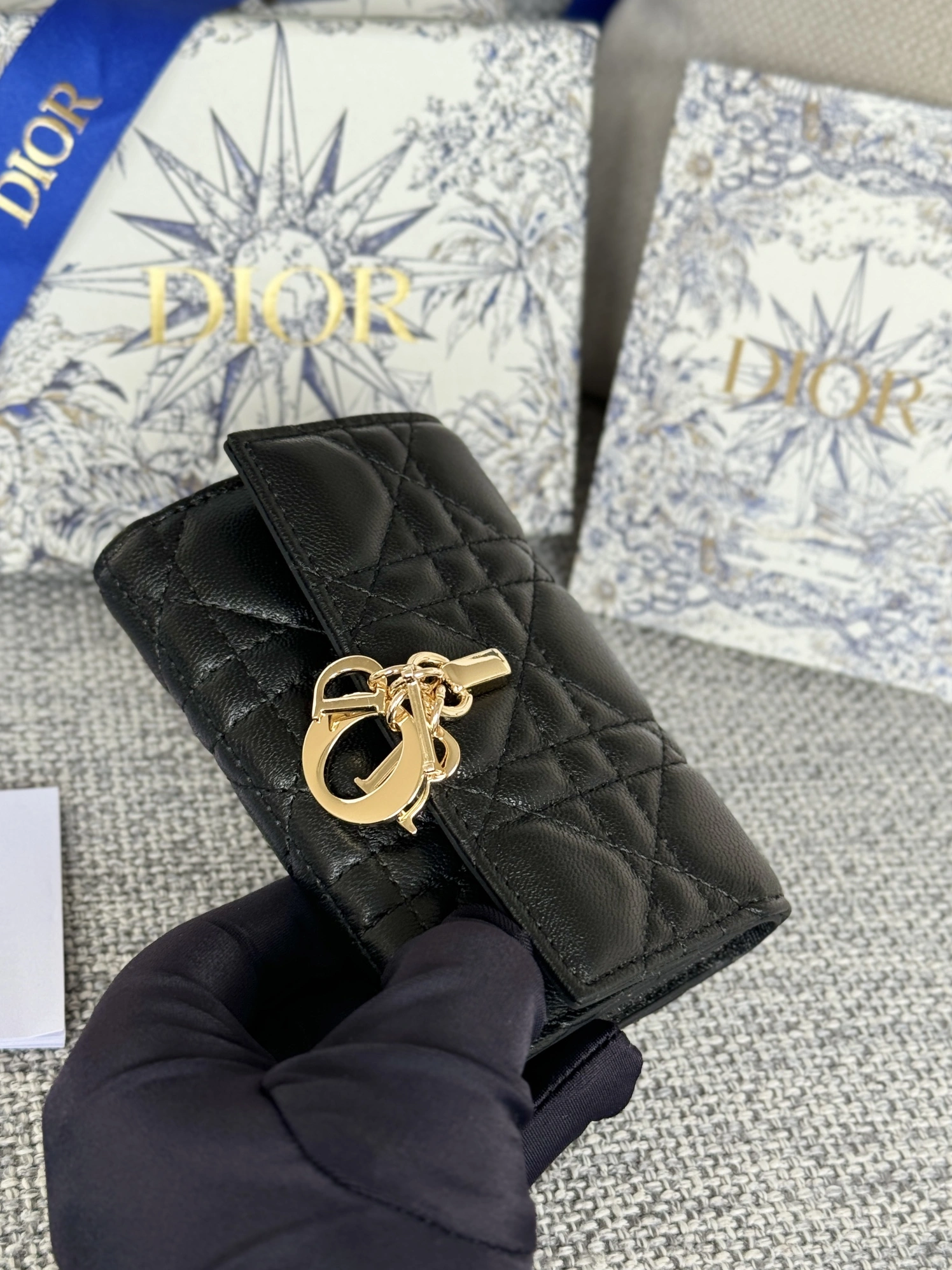 Christian Dior AAA Wallets For Women TopPick 9027