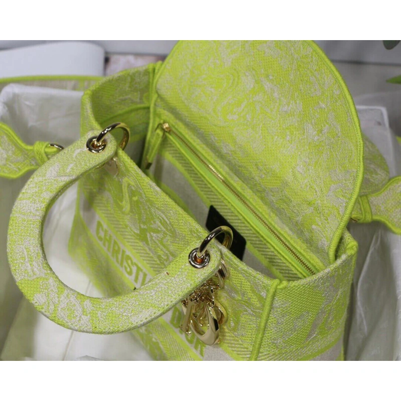 The bag m Dior Medium Lady D-Lite Bag Lime Toile de Jouy Reverse Embroidery - Image 11