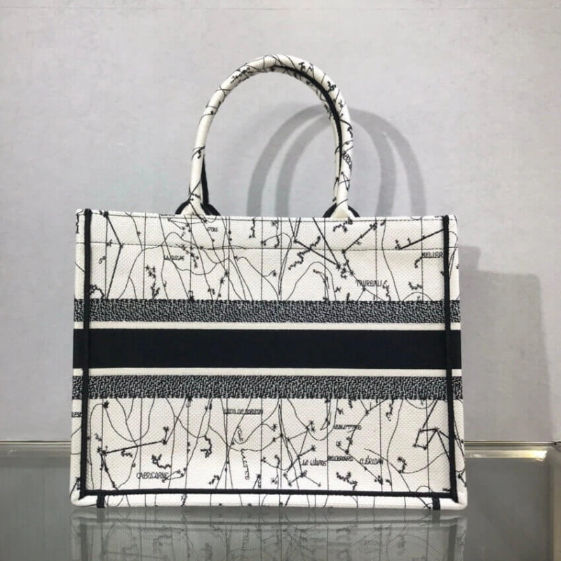 'Christia Dior Small Book Tote in Latte Multicolor Zodiac Embroidery - Image 4