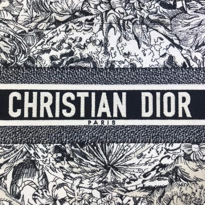 'Christia Dior Small Book Tote in Latte Multicolor Zodiac Embroidery - Image 6