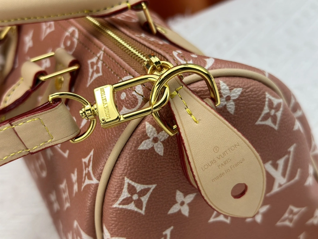 GoodFit 2121 Louis Vuitton AAA Quality Handbags For Women - Image 6