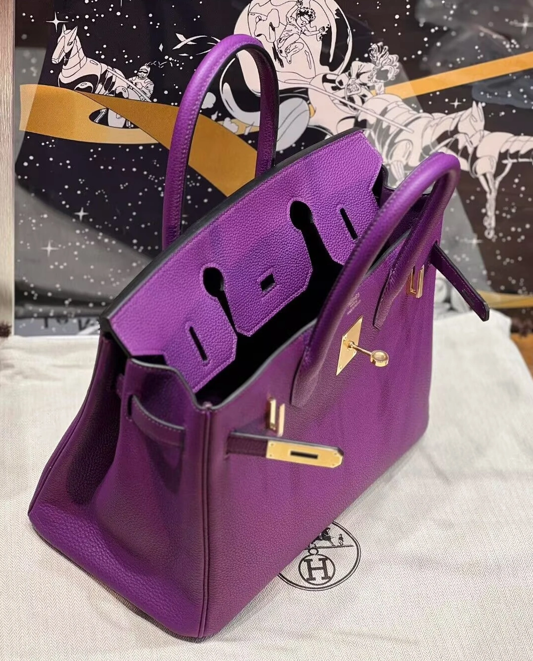 Hermes AAA Quality Handbags For Women Resilient 4748 - Image 7