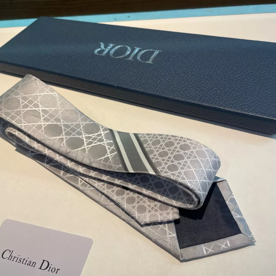 Minimalist 757 Christian Dior Necktie - Image 6