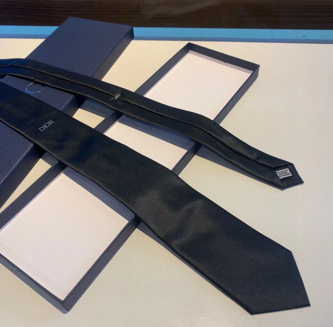 Resilient 1235 Christian Dior Necktie For Men