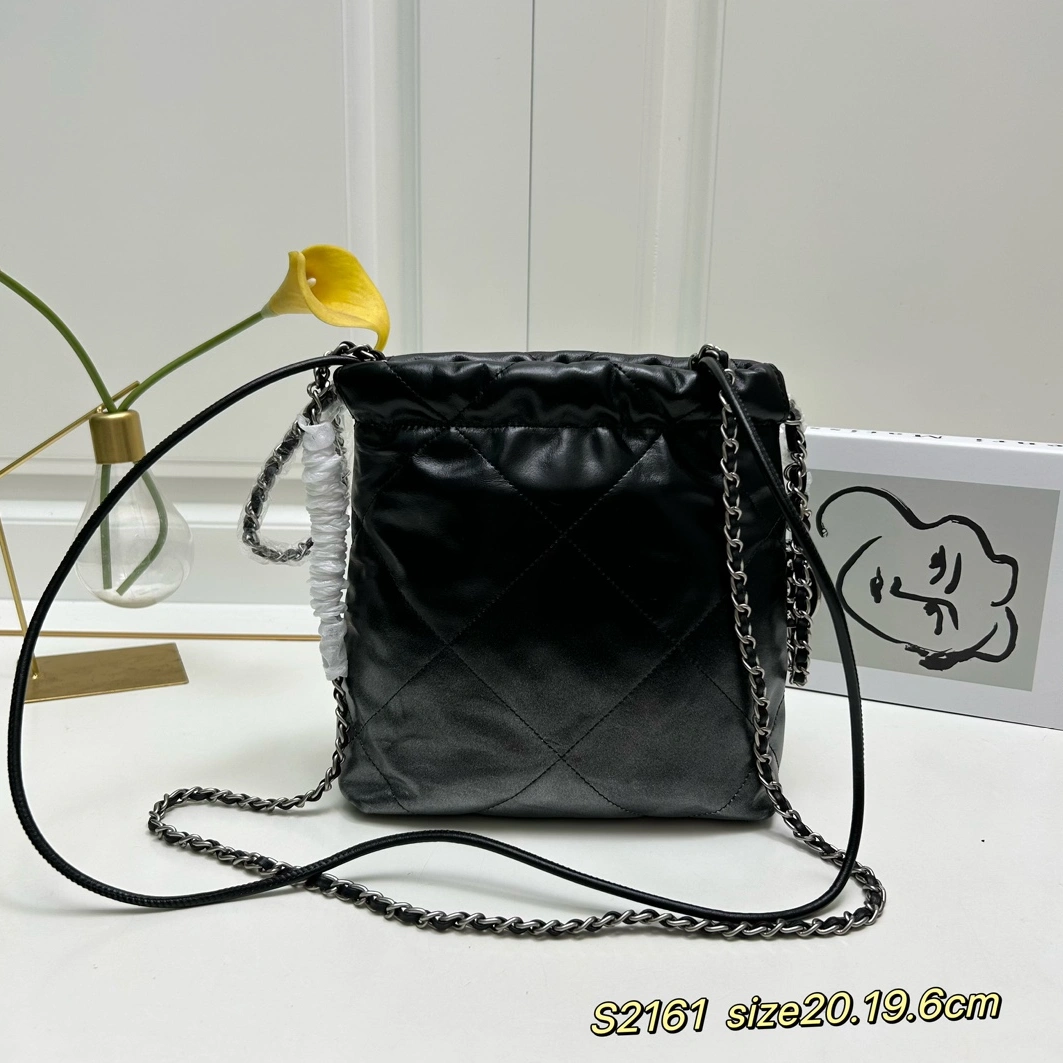 Sleek 8812 Chanel AAA Quality Messenger Bags For Women