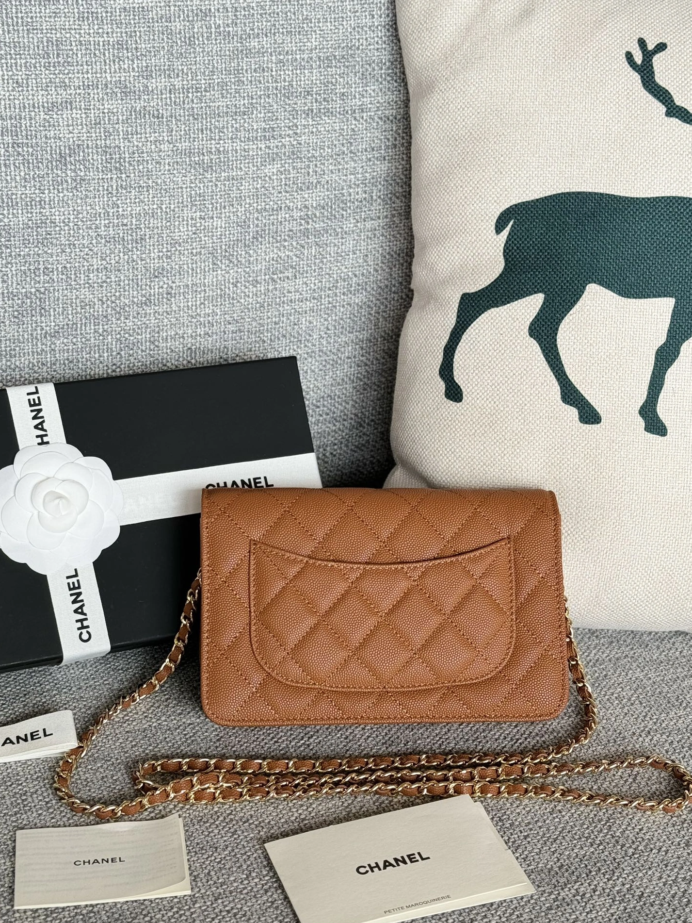 Stylish 1860 Chanel AAA Quality Messenger Bags In Gold For Women