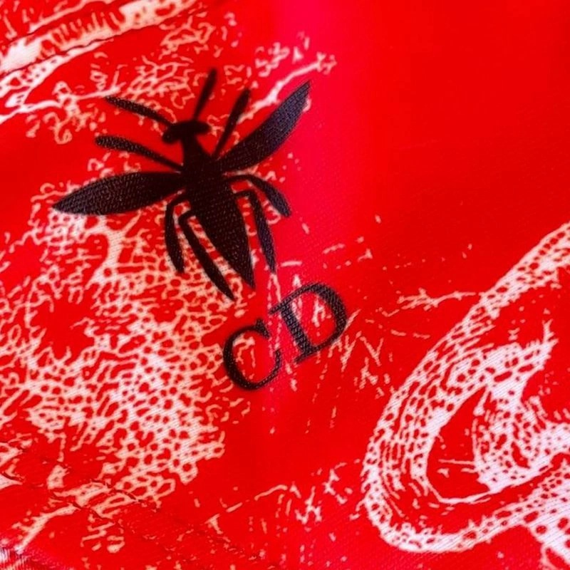 Dior Bikini Women Toile De Jouy with Bee CD Motif Lycra Red - Image 4