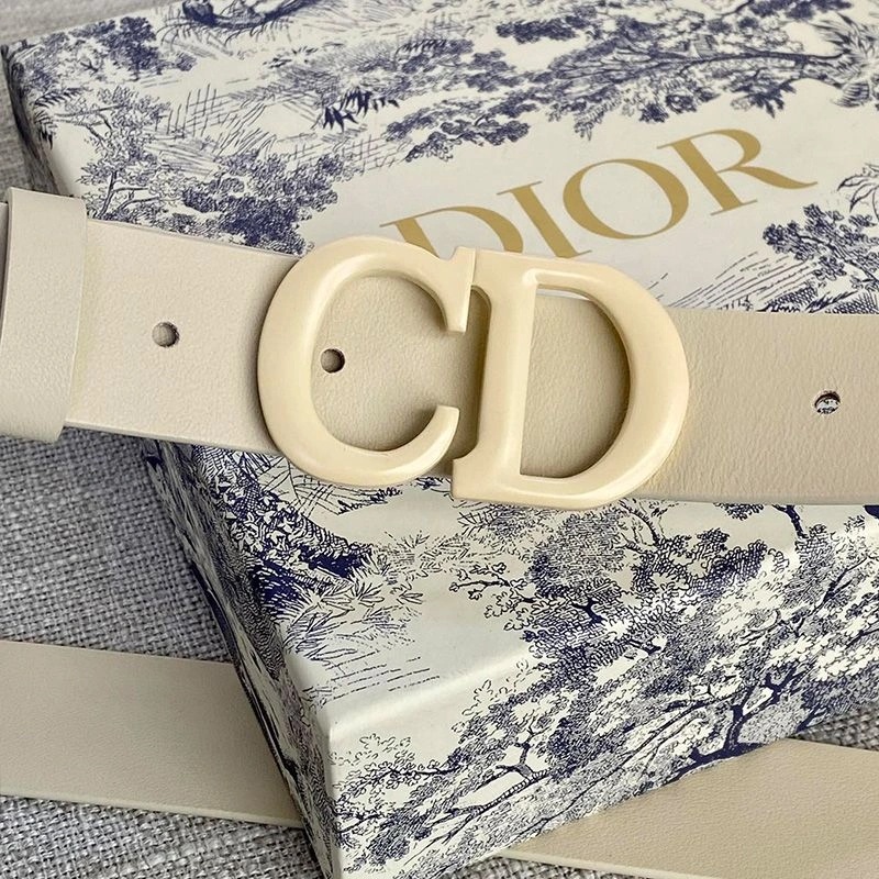 Dior Saddle Belt Matte Calfskin Beige - Image 3