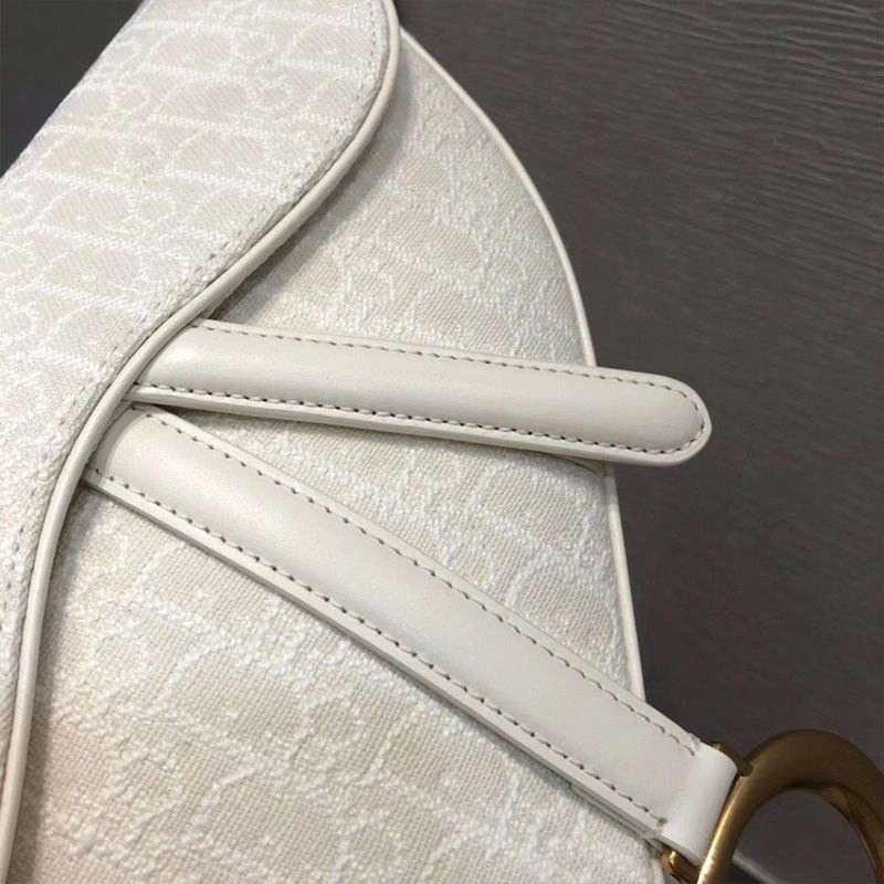 Dior Saddle Bag Oblique Motif Canvas White - Image 5
